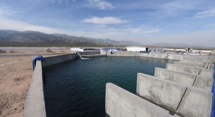 Supervisará la CAED el manejo de Agua Saludable Supervisará la CAED el manejo de Agua Saludable