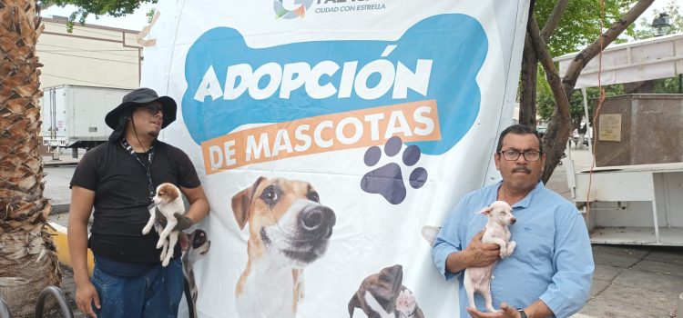 Impulsan el programa de “Adopción de Mascotas”