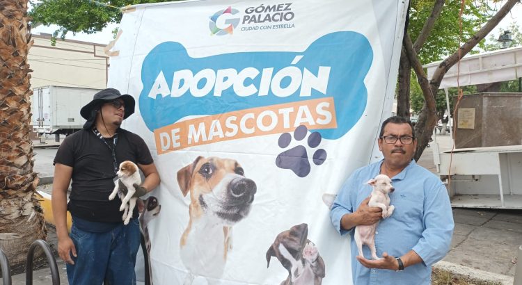 Impulsan el programa de “Adopción de Mascotas”