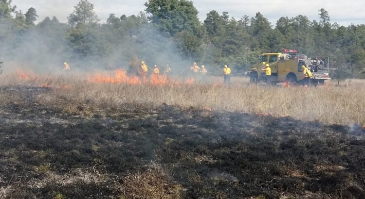 Aumentan los daños por incendios forestales en Durango