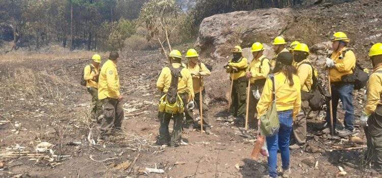 Controlan los incendios forestales