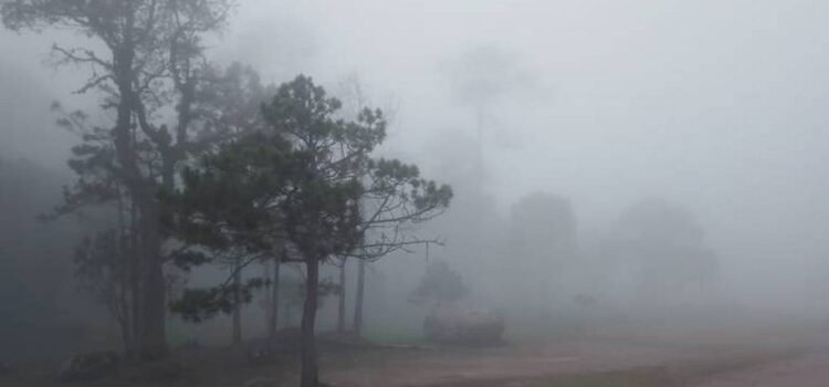 Reportan bajas temperaturas en la sierra
