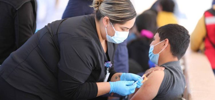 Listos para implementar campañas de vacunación contra la influenza