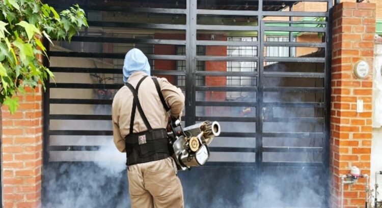 Intensifican acciones para combatir el dengue Intensifican acciones para combatir el dengue