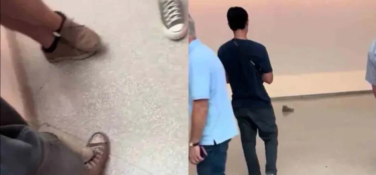 El zapato en el museo: una broma que desató el debate sobre el arte contemporáneo El zapato en el museo: una broma que desató el debate sobre el arte contemporáneo