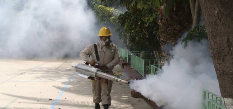 Siguen los casos de dengue