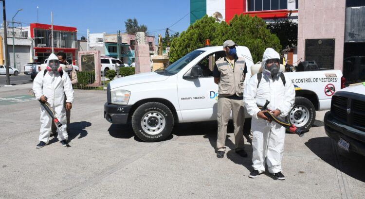 Unen esfuerzos para combatir contra el dengue