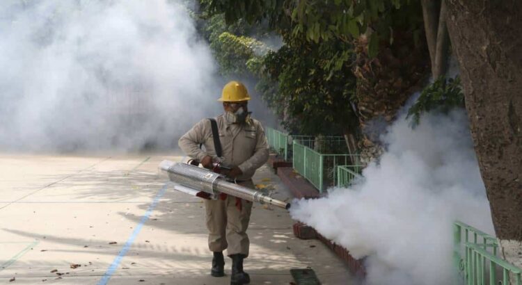 Siguen los casos de dengue