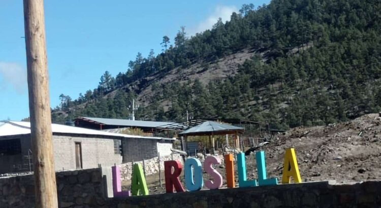 Reportan temperatura de 1°C en La Rosilla Reportan temperatura de 1°C en La Rosilla