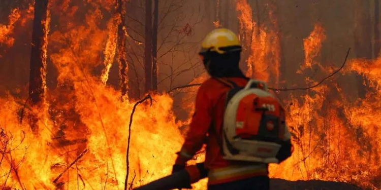 Bolivia enfrenta una emergencia nacional por incendios forestales: una crisis agravada por la sequía