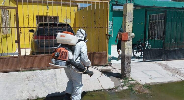 Piden incrementar medidas contra el dengue: comerciantes