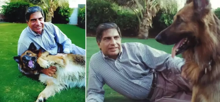 Ratan Tata: el magnate indio que aseguró una herencia millonaria para el cuidado de su perro