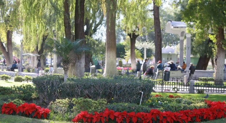 Se siguen robando las Nochebuenas en espacios públicos Se siguen robando las Nochebuenas en espacios públicos