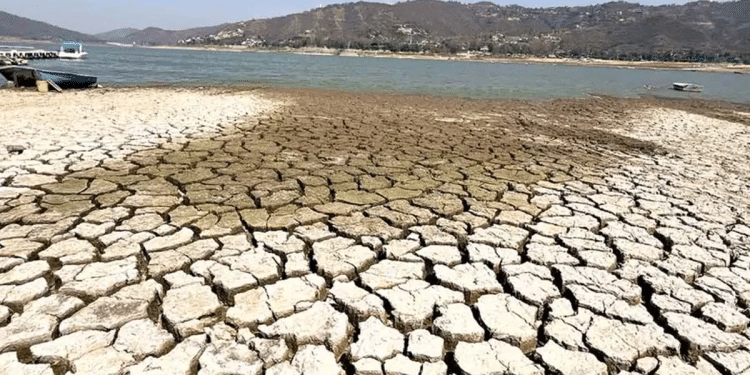 En riesgo la producción alimentaria mexicana En riesgo la producción alimentaria mexicana