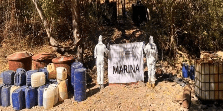 Fuerzas federales desmantelan 7 narcolaboratorios en Sinaloa Fuerzas federales desmantelan 7 narcolaboratorios en Sinaloa