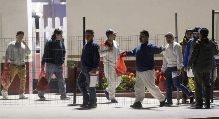 Los migrantes deportados disminuirá el déficit de mano de obra en la construcción Los migrantes deportados disminuirá el déficit de mano de obra en la construcción