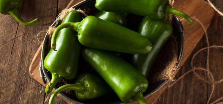 La producción de Chile es una opción en La Laguna