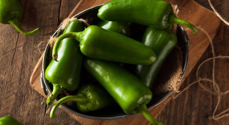 La producción de Chile es una opción en La Laguna La producción de Chile es una opción en La Laguna
