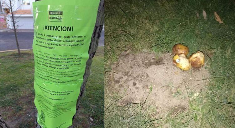 Advierten que exista posible veneno en área verde en Durango Advierten que exista posible veneno en área verde en Durango