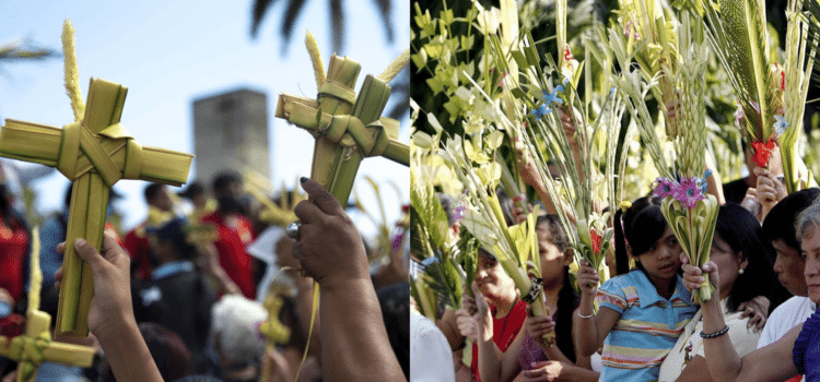 Celebran Domingo de Ramos