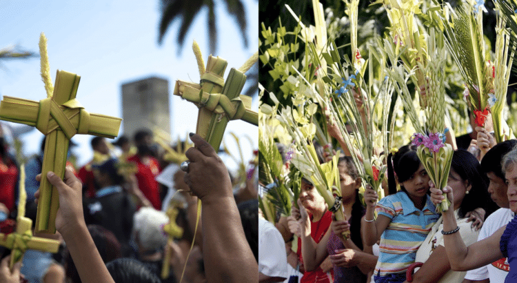 Celebran Domingo de Ramos Celebran Domingo de Ramos