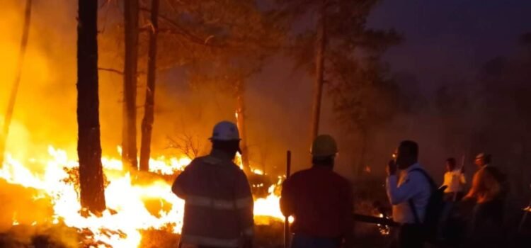 Piden incremento al presupuesto para combatir incendios forestales: diputados