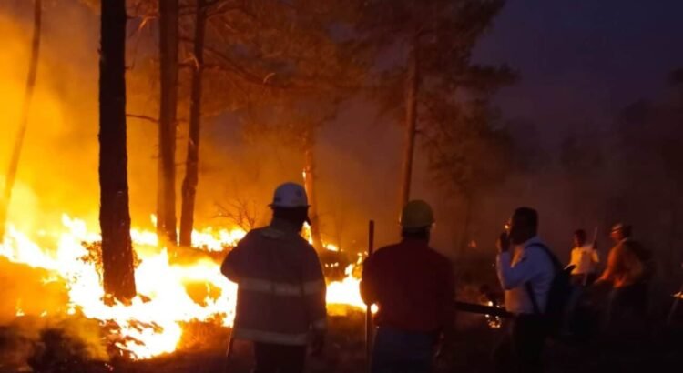 Piden incremento al presupuesto para combatir incendios forestales: diputados Piden incremento al presupuesto para combatir incendios forestales: diputados