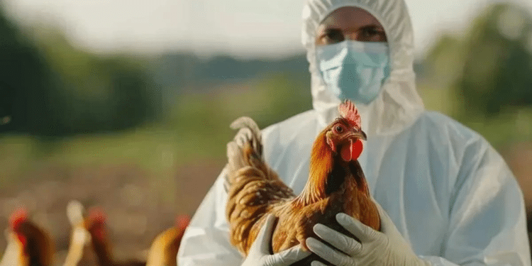 Confirman primer caso de influenza aviar H5N1 en México