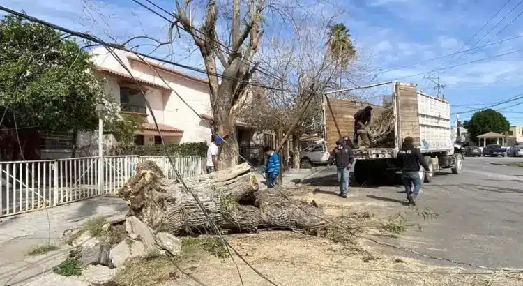 Deja afectaciones las fuertes rachas de viento Deja afectaciones las fuertes rachas de viento