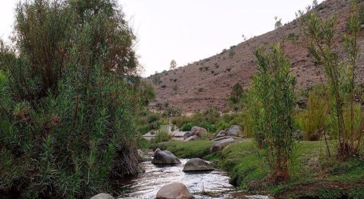 Confirman, “Tres Molinos” quedará bajo el agua: gobernador de Durango
