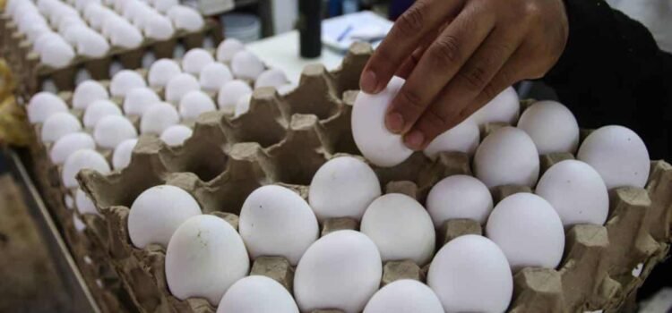 Advierten nuevo aumento al precio del huevo Advierten nuevo aumento al precio del huevo