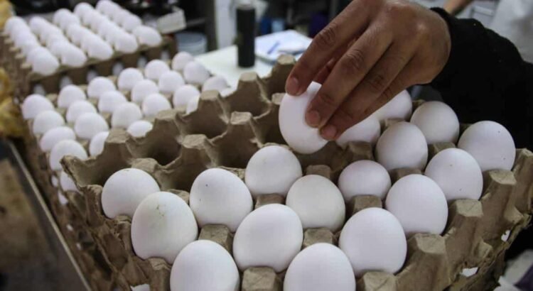 Advierten nuevo aumento al precio del huevo
