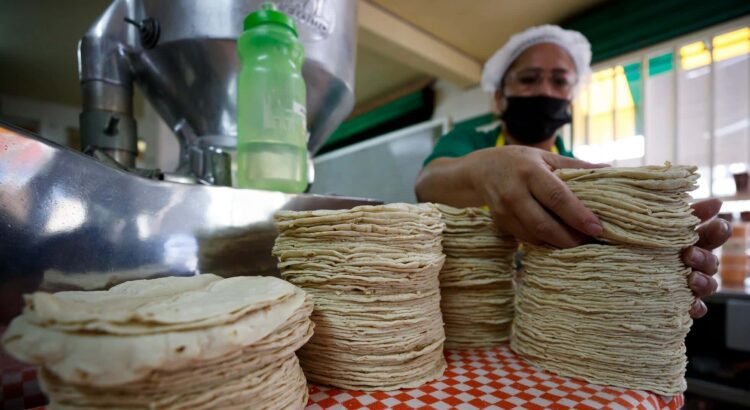 No se contempla el aumento al precio de la tortilla No se contempla el aumento al precio de la tortilla