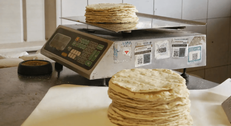 Durango podría recibir beneficios por el Acuerdo Nacional Maíz-Tortilla Durango podría recibir beneficios por el Acuerdo Nacional Maíz-Tortilla