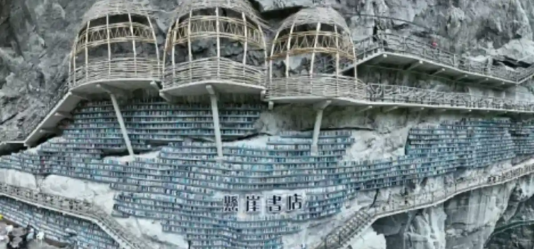 Cuando visitar la biblioteca es una actividad extrema