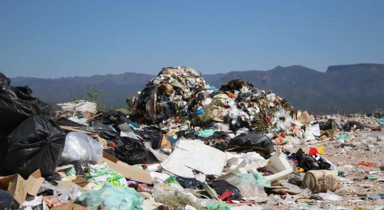 Proyectan el cierre definitivo de su basurero municipal y la creación de un nuevo relleno sanitario sustentable Proyectan el cierre definitivo de su basurero municipal y la creación de un nuevo relleno sanitario sustentable