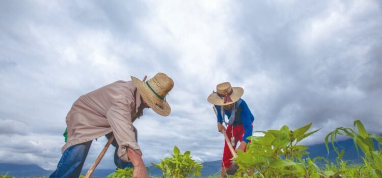 Productores duranguenses merecen un pago justo y condiciones dignas: Noel Fernández Productores duranguenses merecen un pago justo y condiciones dignas: Noel Fernández