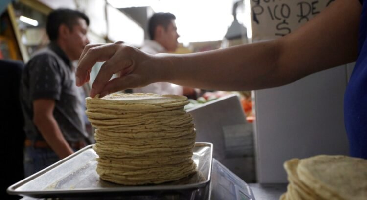 Analizan posible reducción del precio de la tortilla