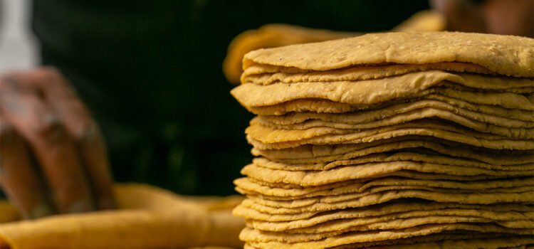 Respaldan los empresarios a los productores de maíz Respaldan los empresarios a los productores de maíz