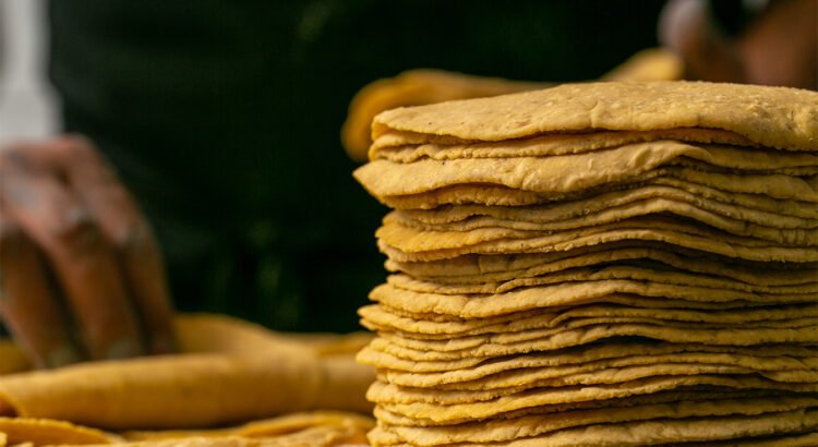 Respaldan los empresarios a los productores de maíz