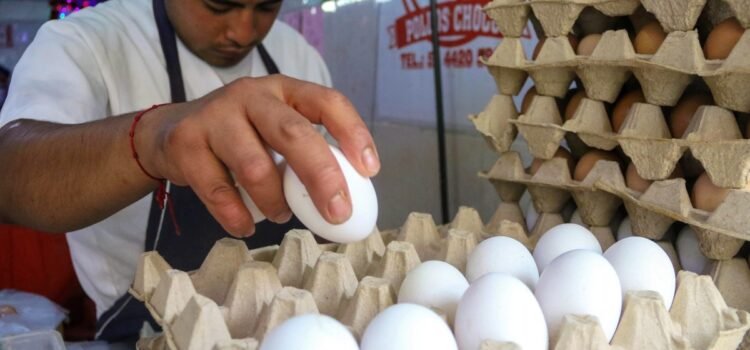 Sin mucho cambio el precio del huevo: Canaco