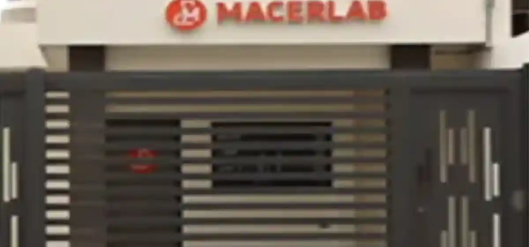 Sanciona Estados Unidos a 8 mexicanos ligados a “Los Chapitos”