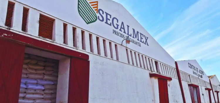 Van 27 detenidos por el caso Segalmex Van 27 detenidos por el caso Segalmex