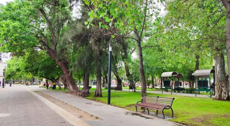 Conagua prevé ambiente fresco y estable durante el fin de semana en Durango