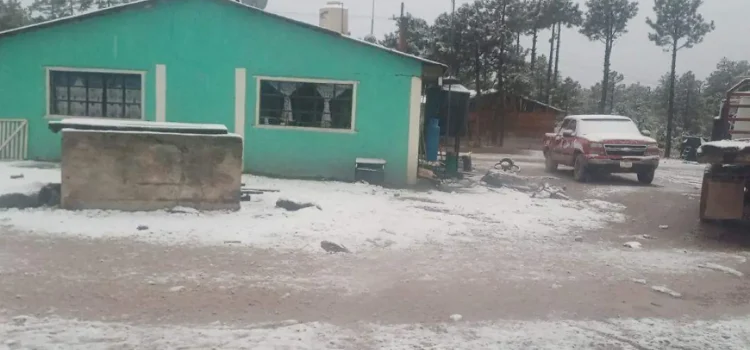 Durango registra la primera nevada Durango registra la primera nevada