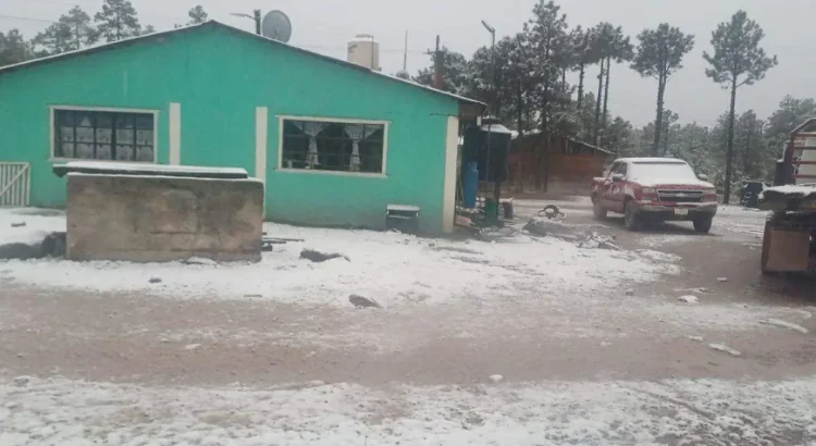 Durango registra la primera nevada Durango registra la primera nevada