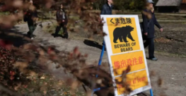 Empleado se defendió con judo de un ataque de oso