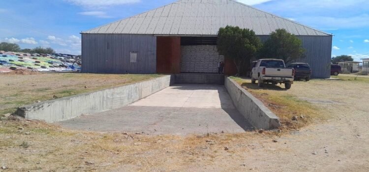 Ya están liberando más bodegas con frijol rezagado en Durango: Sader