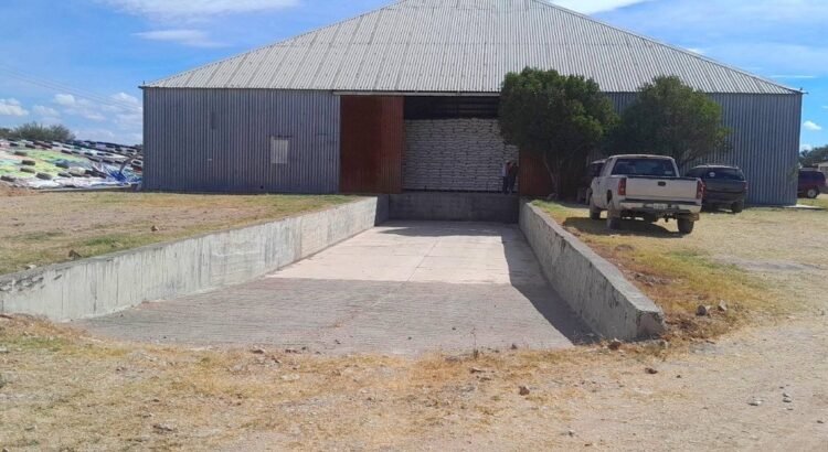 Ya están liberando más bodegas con frijol rezagado en Durango: Sader