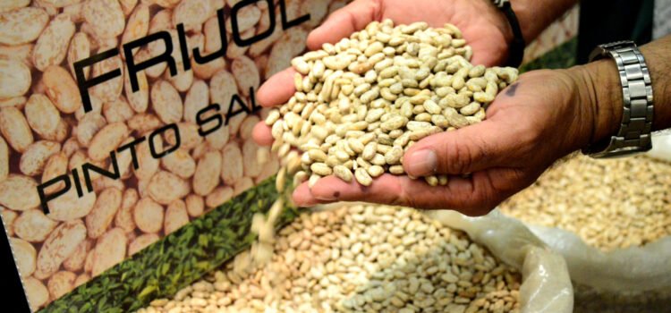 Productores critican esquema de acopio de frijol en Durango, Zacatecas y Chihuahua Productores critican esquema de acopio de frijol en Durango, Zacatecas y Chihuahua